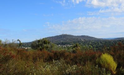 Cameron Park